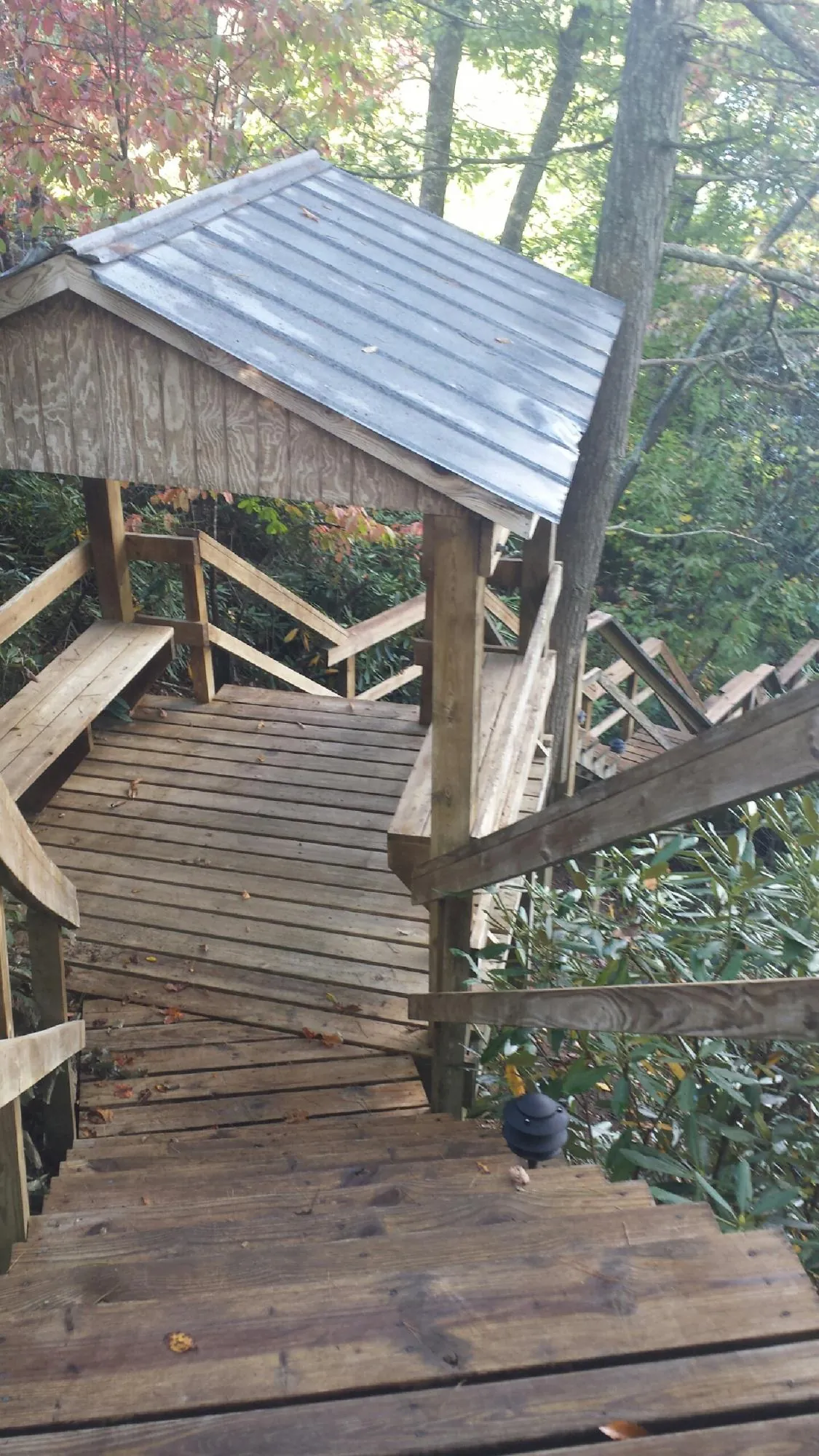 Metal roofed shelter over wooden steps on a wooded walkway — Skylight Repair & Installation work by our crew in Delano